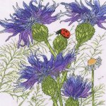(image for) Cornflower Garden